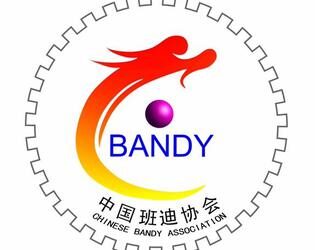 FIB meets Chinese Bandy